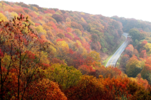 Trails Carolina: A Pathway to Healing and Growth