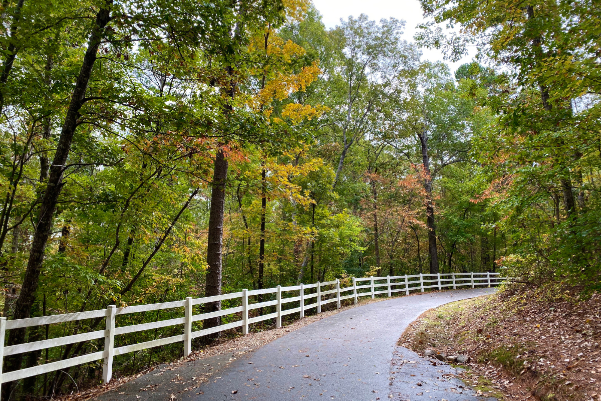 Trails Carolina: A Pathway to Healing and Growth